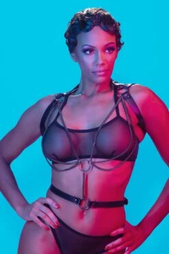 Black Harness(Black Harness)