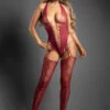 Snakeskin Body Stocking(Snakeskin Body Stocking)