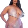 Plus Size Crystal Teddy(Plus Size Crystal Teddy)