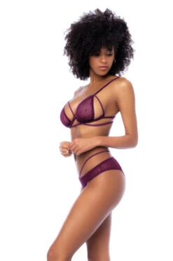 Dottie Bra Set(Dottie Bra Set) -Serpent Lane dotmeshunderwiretopwithopenbackpanty