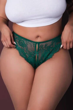 Plus Size Evermore Panty(Plus Size Evermore Panty)